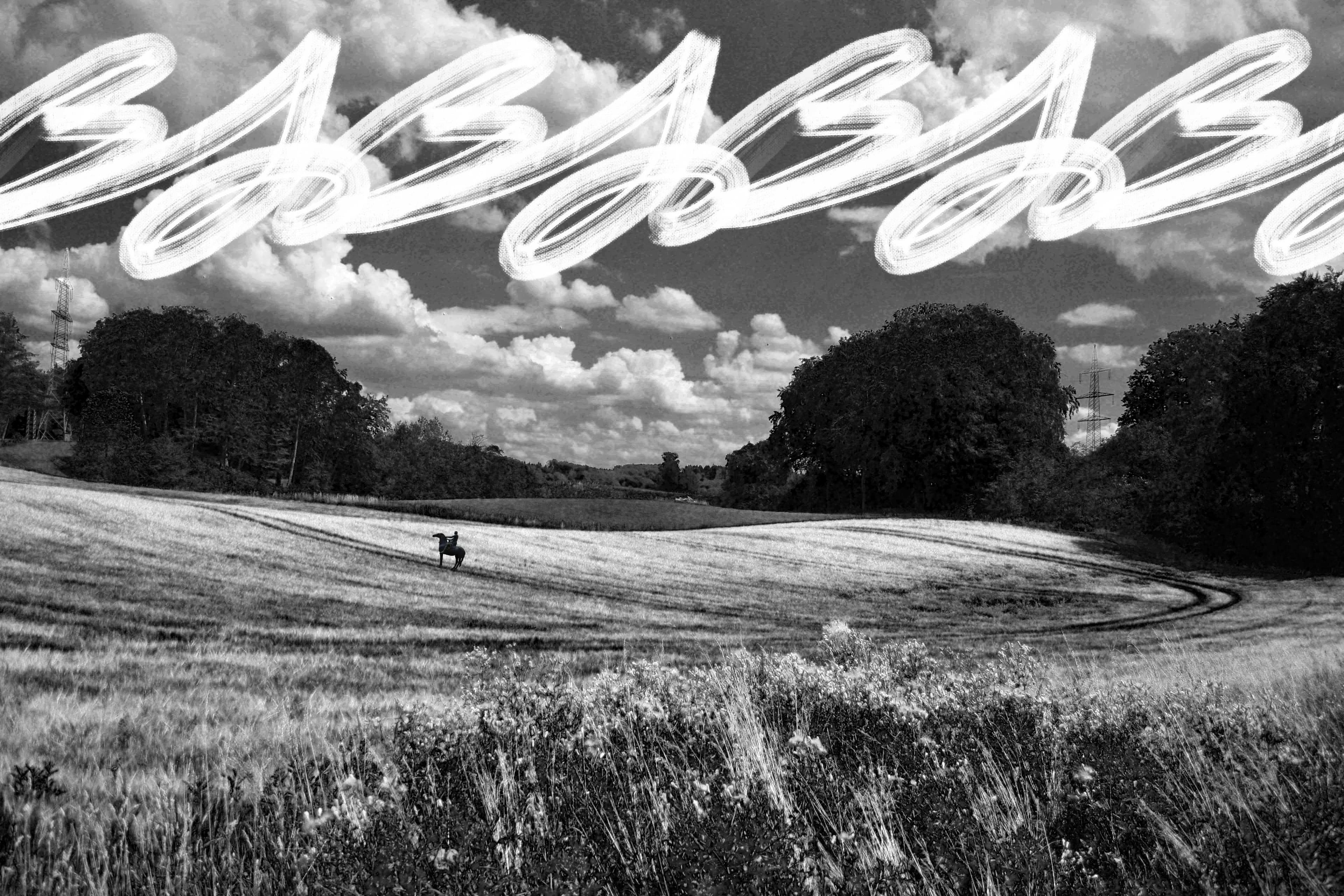 Field - Black & White