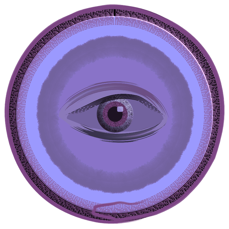 The Eye - WiseArt